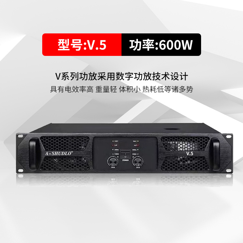 Professional power amplifier V.5 (600W)