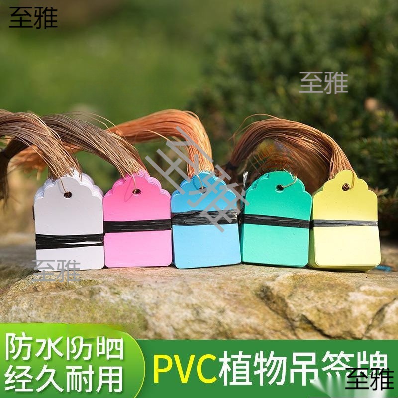 PVC100张实验小挂牌绿植防水吊签标牌花卉园艺苗木吊牌兰花防