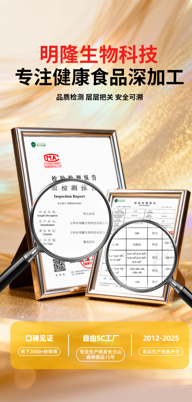 Changbai Mountain Siberian Ginseng Leaf Tea Ci Wu Jia Herbal Wellness Tea 240g Three Cans in use