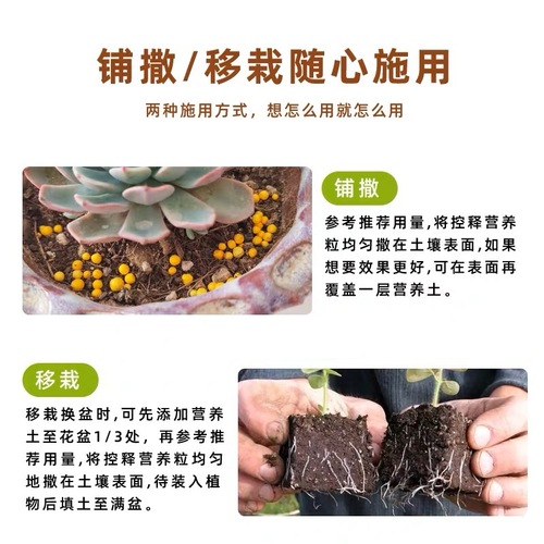 Factory direct sales of eight old men's home gardening controlled release fertilizer for household flower cultivation general nitrogen, phosphorus and potassium flower compound fertilizer