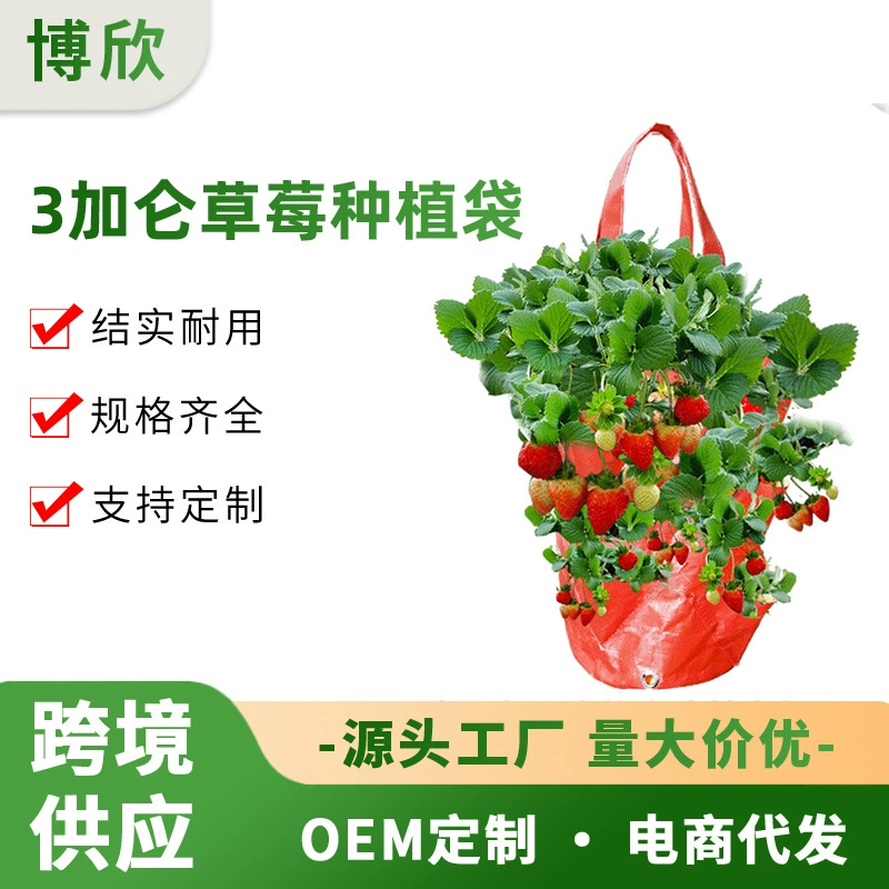 Желтый оранжевый 3 галлона висячий клубничный мешок садоводство цветочный мешок PE Воздушное садоводство посадка амазонка