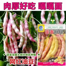 |thǷNӷNџϱⶹܿͶܿļShN