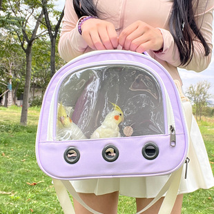 �W�^�������y�B������б���⎧�B�\�������Pĵ����ƤС̫�����