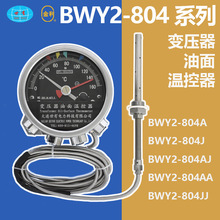 BWY2804 變壓器油面溫度計 油面溫控器 大連世有 儀器儀表 國產