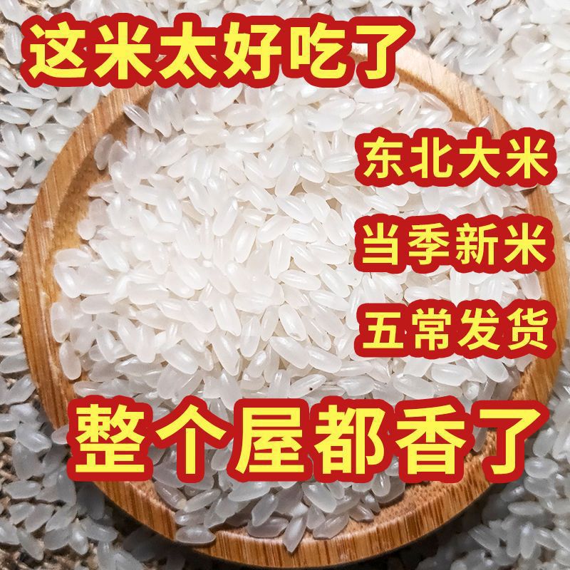 Northeast Rice Long Grain Fragrant Rice Cold Soil Pearl Rice Wholesale New Rice 10/ 10kg Packed Heilongjiang Freshly Ground High-Quality Rice
