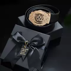 WWE Gold Plated Championship Belt Action Figure Toy Wearable Design Color Box Display Model Infinite Charm