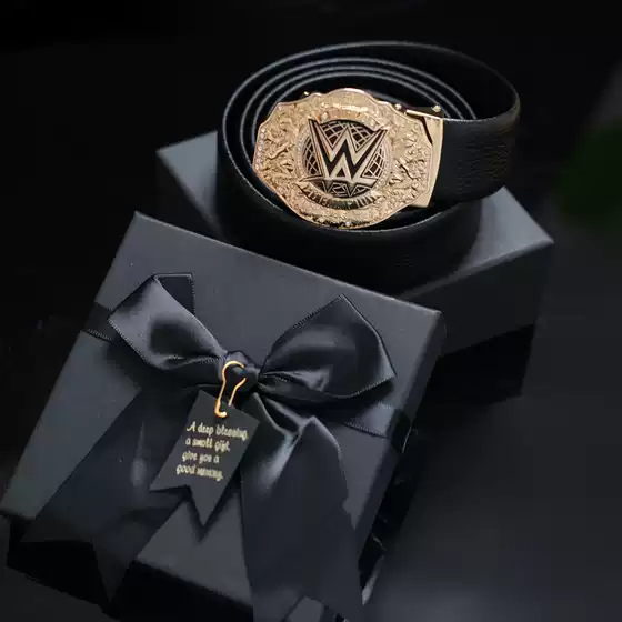 WWE Gold Plated Championship Belt Action Figure Toy Wearable Design Color Box Display Model Infinite Charm