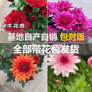 �ջ������ļ��_���ջ���󻨺��m�յ������Ի��ܾջ��̨
