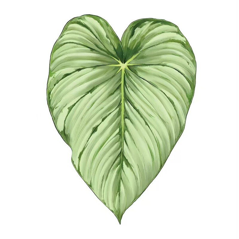 植物の魔法】熱帯の珍しい植物のアイデアの緑の植物の冷蔵庫は緑の植物の装飾の植物のシリーズの冷蔵庫を貼って貼ります。|undefined