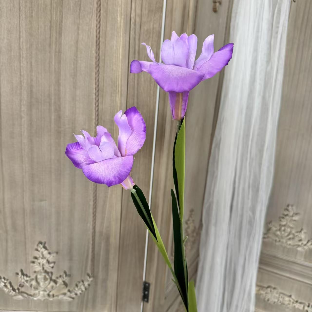 보라