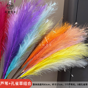 �JȔ+��ȸ�ݽM�ϟ������쾰�JȔ���滨�b������l�쾰��c