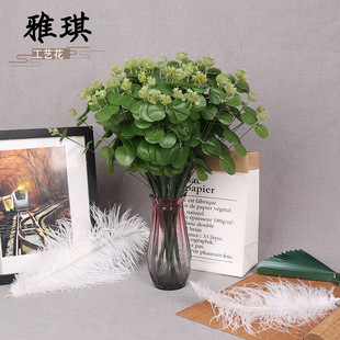 ������X�~16辰����ȼ���֦���l��c�bҾӔ[�����X֦��ˇ�ٻ�