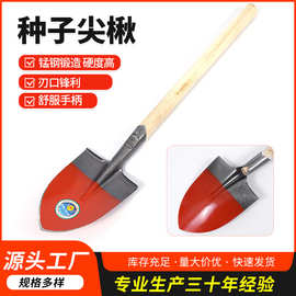 种子尖楸 厂家现货直发种子尖楸移苗栽花挖野菜花园铲煤炭铲批发