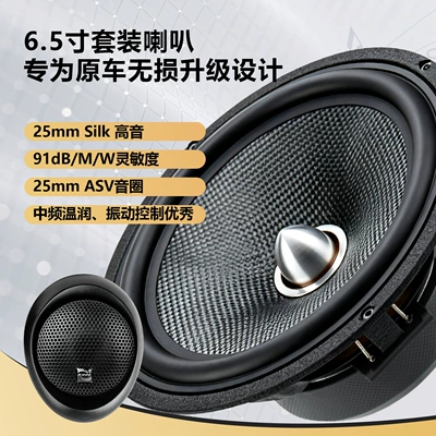 Tweeter Speakers for Car Door – Car speaker/subwoofer