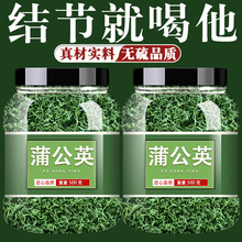 蒲公英茶长白山新茶散结节婆婆丁干货非级野生浦公英茶叶