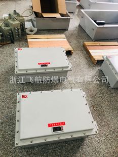 BXJ explosion-proof junction box wiring box terminal box stainless steel distribution box