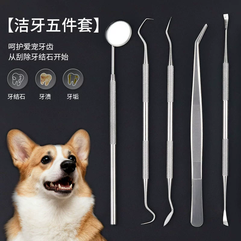 Инструмент для зубного камня для домашних животных Чистка полости рта кошки и собаки удаление пятен на зубах очиститель для чистки зубов крючок для чистки зубов 6