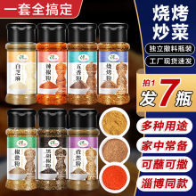 淄博烧烤调味料五香孜然粉辣椒面烤肉炸串蘸料撒料家用组合装全套
