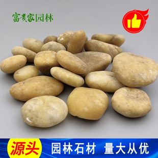 3-5cm�Sɫ�껨ʯ �����S�Z��ʯ �@�ֵ�·��� �����~���b�����