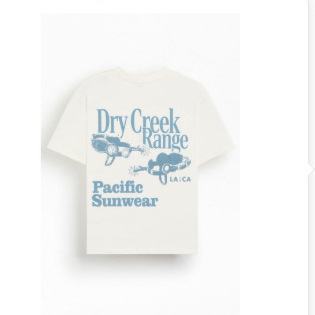 Pacsun Men's Dry Creek Range T-Shirt - Multicolor