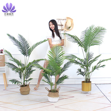 ���W�L����ֲ���Pβ���ٻ�����b͏d�辰�[�������Gֲ���Լ٘�