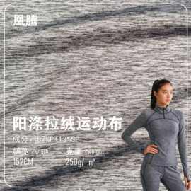 阳涤舞龙弹力布阳离子双色阳涤麻灰面料拉绒运动服瑜伽服裤装面料
