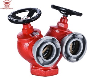 Hengshield Fire Dual Valve Double Outlet Pressure Reducing Stabilizing Indoor Fire Hydrant SNSSW65-III