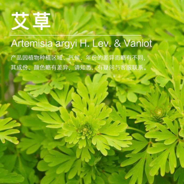 ���ҹ�Ӧ���ݾ��� ������ȡ��Ҷ�� ֲ���������������ɹ�