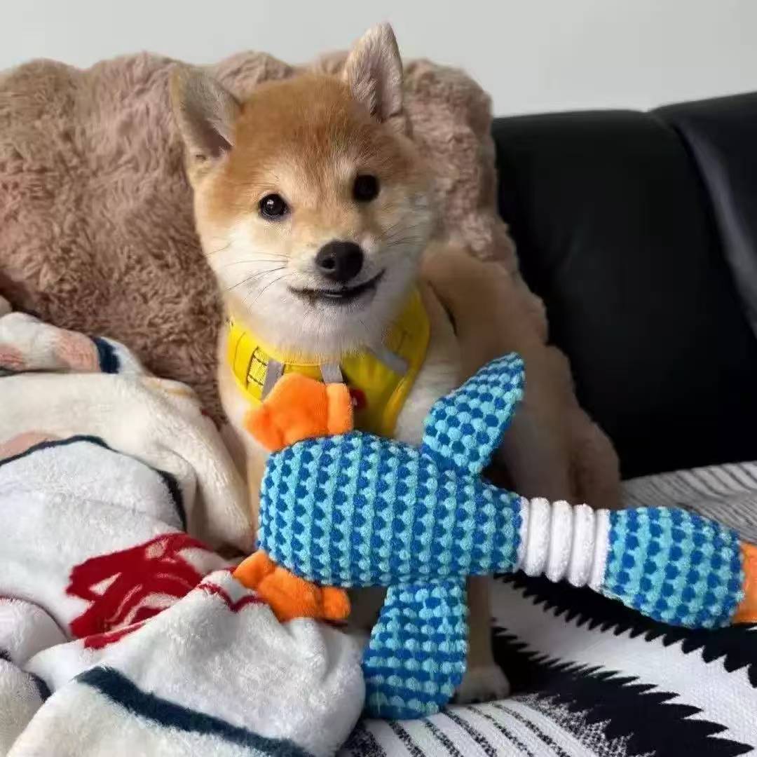 Nuevo juguete de peluche de mascotas auto-hi grinding dientes aburrido juguete de voz de perro muñeca de doble color gansos juguetes de perro