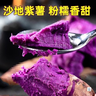 �������r�����t�������ع���������10��ɽ���������߲��r���ԷN