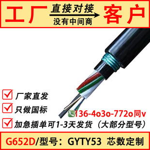 GYTY53-24B1.3�z�b����p�o�׹��|gyftzy-12/48B1 36B1��ģ���w��