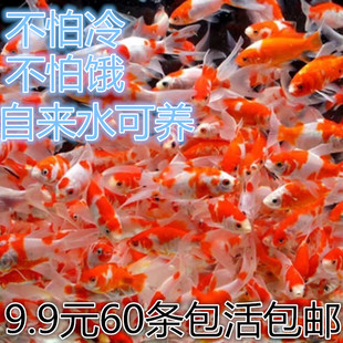 С�͵�ˮ�^�p�~�ͻ���B��ˮ���~�^�p�~���~���~��С�~�t���\��