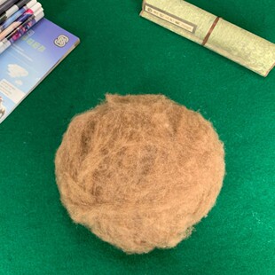 �S���Ԯa���N����ˮϴ��ˇ̎���Ƀ��oζ�q��֧�q�������ԭ��