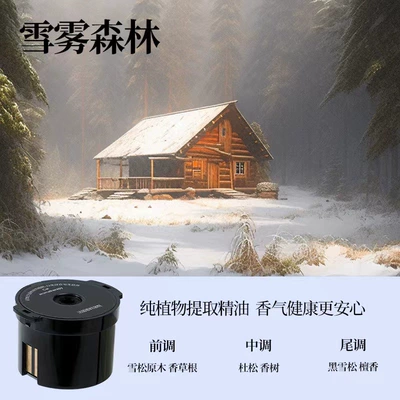 Ornaments Special Perfume for Luxury Cars — Car Perfume Aromatherapy - incense-box-snow-mist-forestupgraded-model