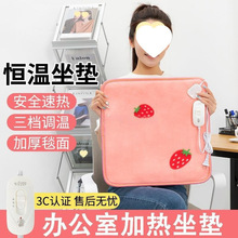 加熱坐墊家用電熱墊女辦公室椅墊USB寵物迷你小電熱毯熱敷