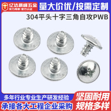 304�����PWB��˿ ʮ����ͷ����ƽβ�Թ���˿������ƽβ�Թ���˿