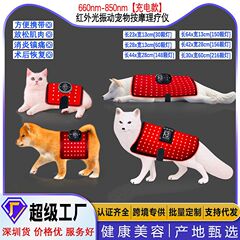 猫、犬、馬などの背中と腹部の怪我や骨折、遠赤外線リハビリテーションと治癒のための国境を越えた充電式ペット用赤色光理学療法機器