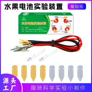 Fruit Power Generation Primary Battery Experimental suit Salt Water Coke Battery Primary and Secondary School Students Physical Science Materials Small Production