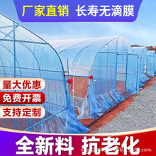 ƴĤˮPOĤ͸ĤoĤLr߲˴