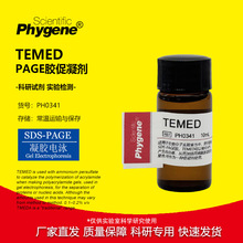 TEMED 10ml ���z�Ӿ PAGE�z�Ƃ� ����ԇ�� [PH0341 PHYGENE]
