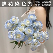 星乐同款网红碎冰蓝鲜花玫瑰彩漆婚礼婚庆布置喷色剂满天星花艺彩