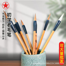 �t��������P�Ǻ����I�������ķ��Č����W�������������