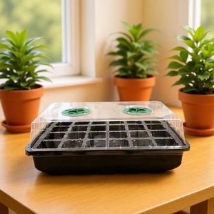 ֲ��B�А��B���������бP�lѿ����Ǥ��N��͸�����N�����䎧�w