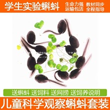 �����w����猙��С�����όW���׃��@�W�����С����������