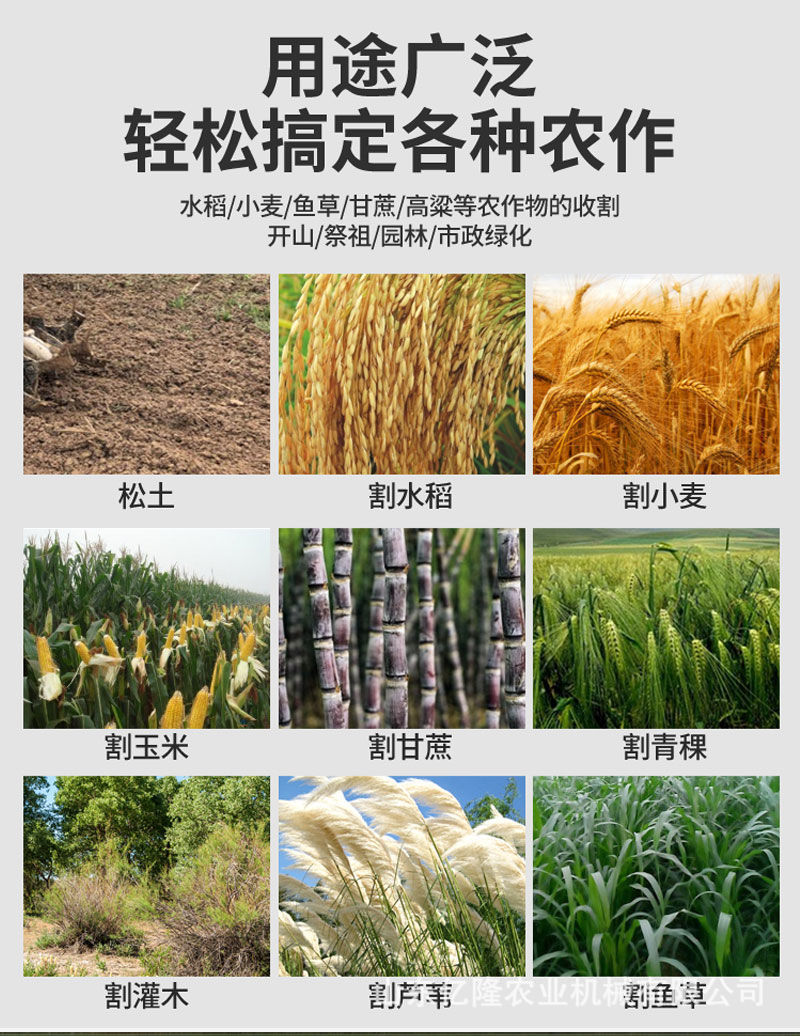 汽油割草机用途