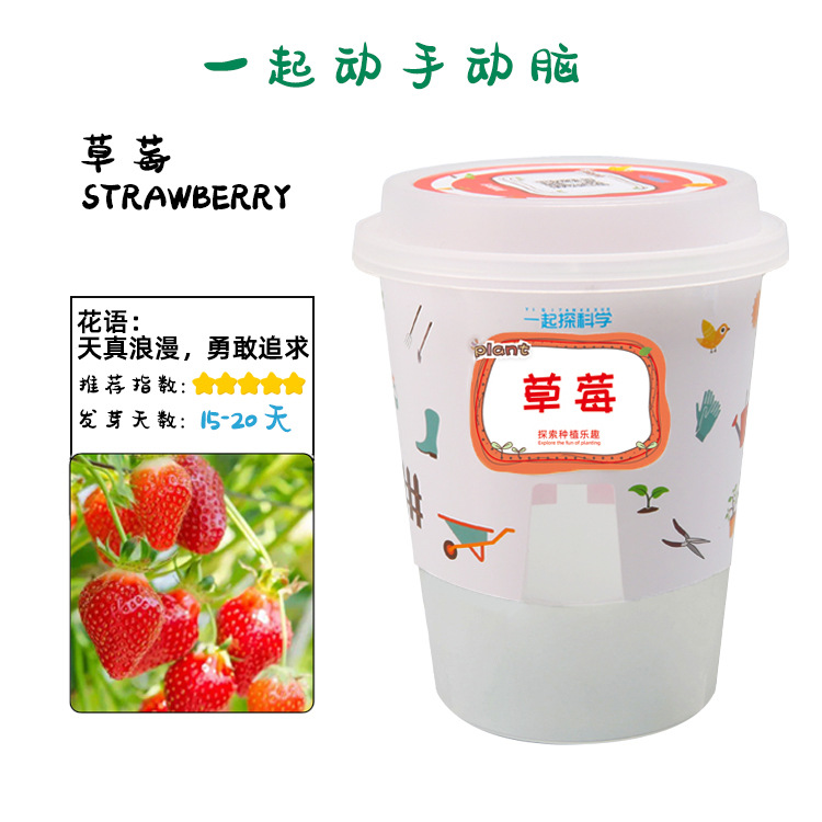 Juguetes educativos para niños al por mayor experimento científico traje kindergarten DIY hecho a mano Tecnología pequeña producción material regalo