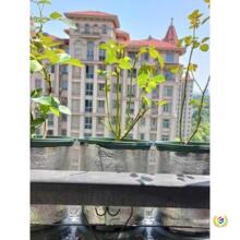 ?����ճ�X����������������Ĥ�Ӻ�ˮ�����r��������Ĥ