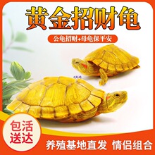 ���N���������lؔ�����^�p�������С����ˮ�����w