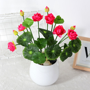 ����С�ɻ� ���~�������� �����b�ǰɏ��������滨С���Լٻ�