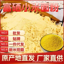 ɽ������С����� 2024�����׬Fĥ��С���� �o���� ��С�����